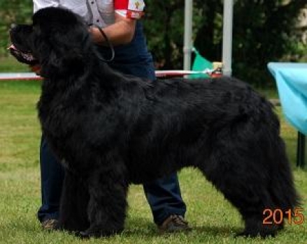 id22538.jpg